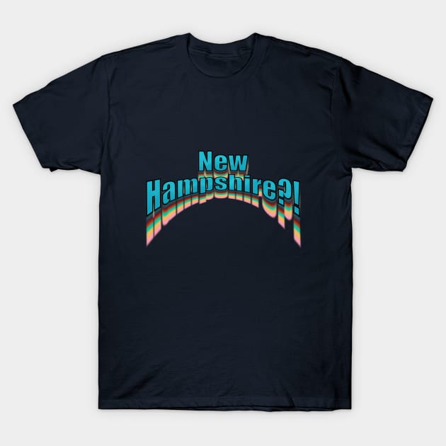 New Hampshire T-Shirt by VultureVomitInc